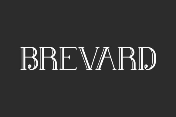 Brevard Font: A Bold Typeface for Campaigns
